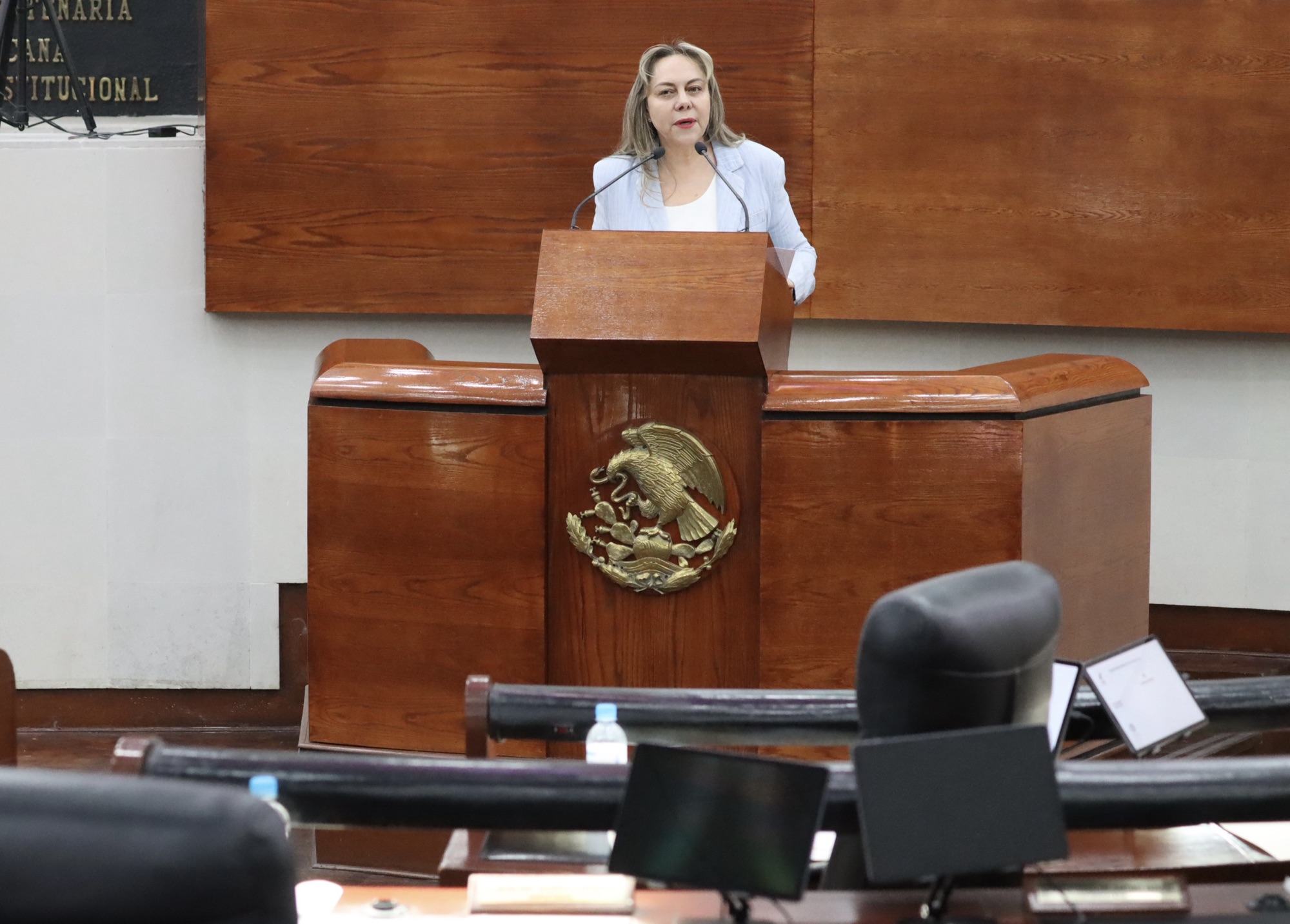 Sara Rocha advierte retroceso en participación política de las mujeres.